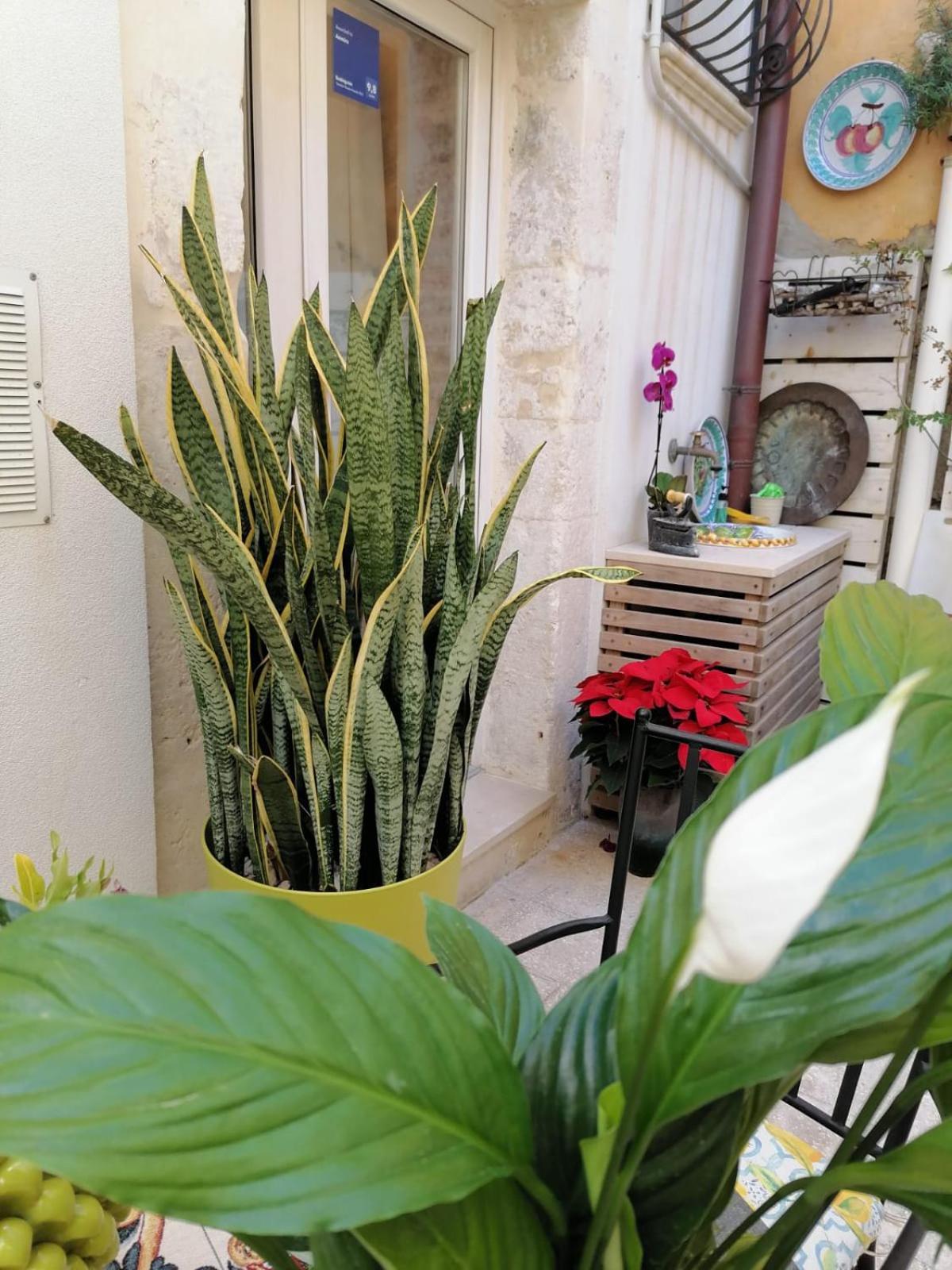Ammira Apartment Сиракуза Стая снимка